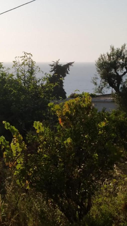 Mullaj Guest House Vlorë 외부 사진